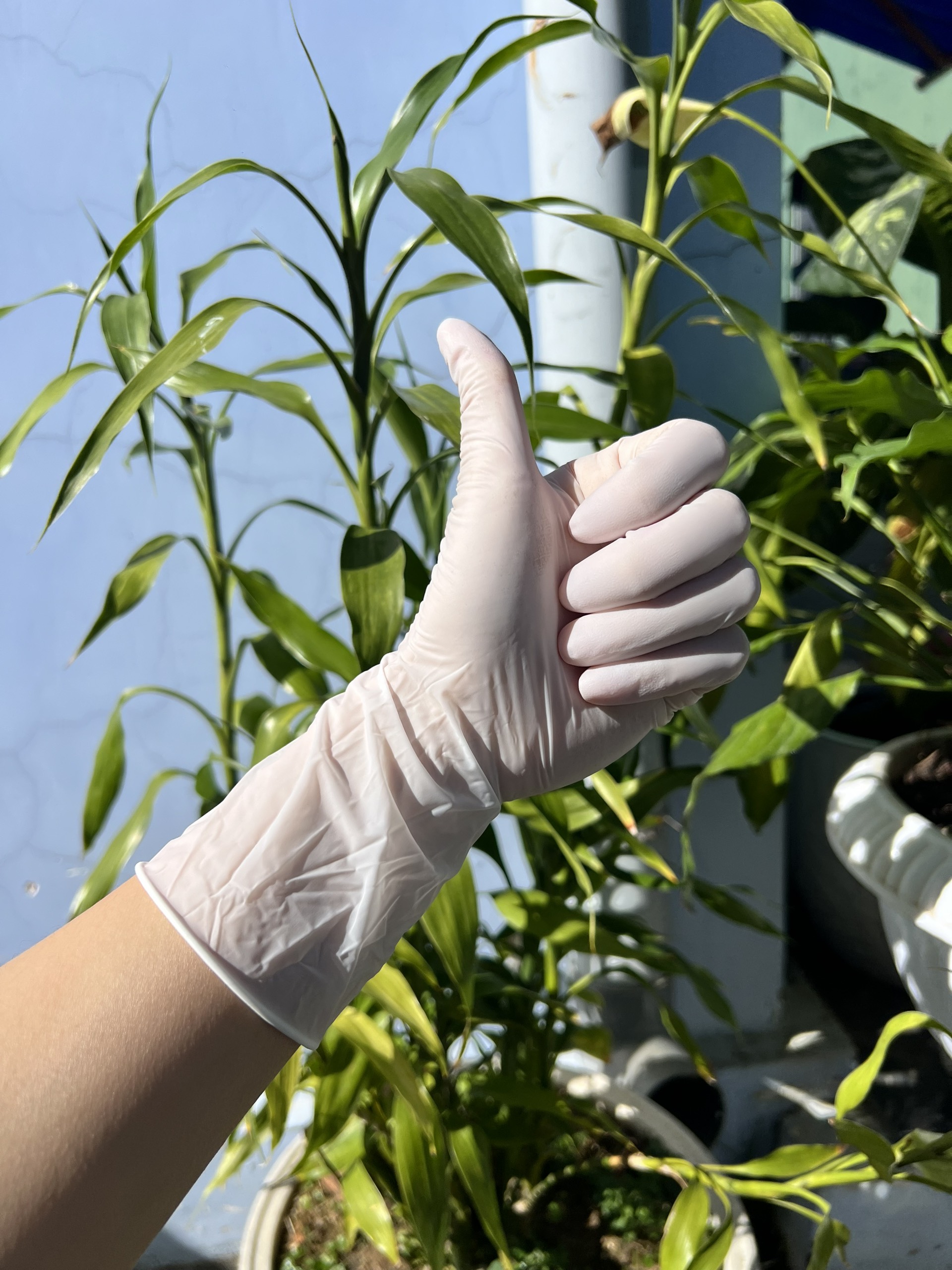 z4979487649254 f7f8ee7b29c2e7076010306fb7d27eed